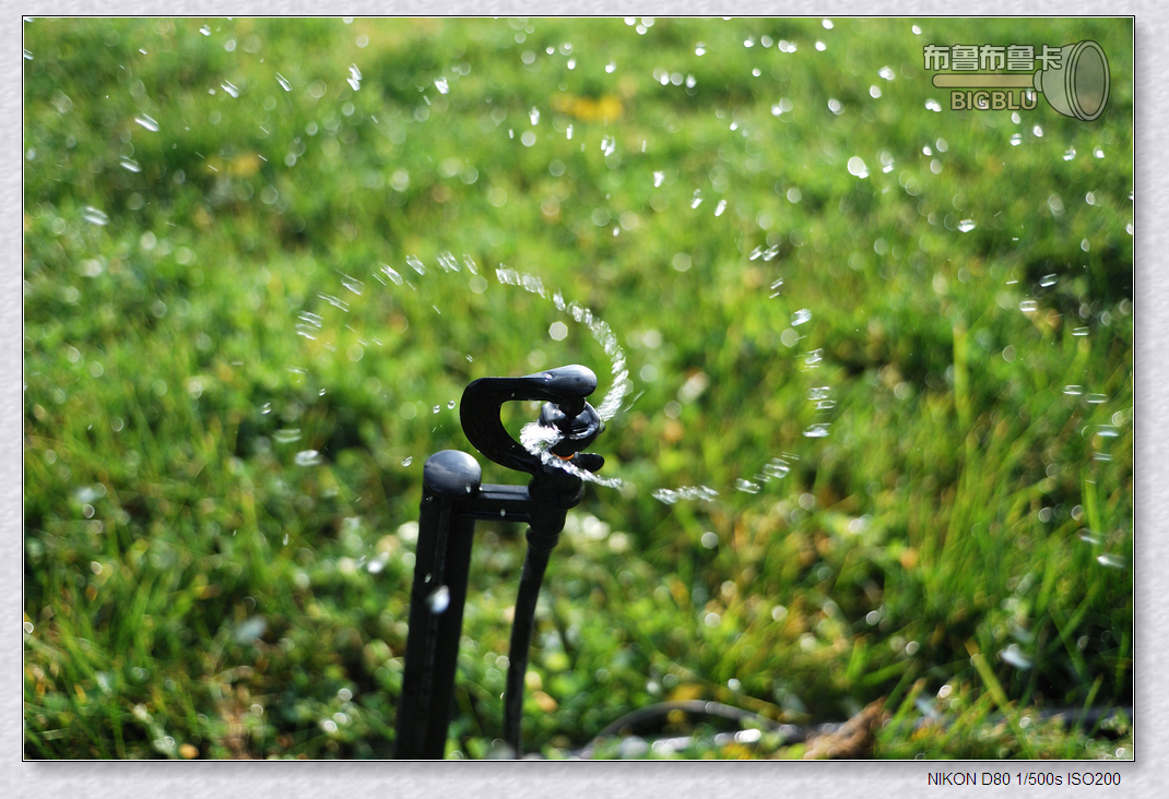 DSC_3526.jpg