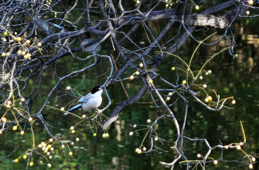 DSC_60.jpg