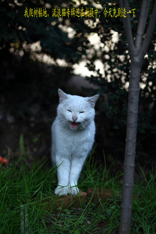 11095540_调整大小.JPG