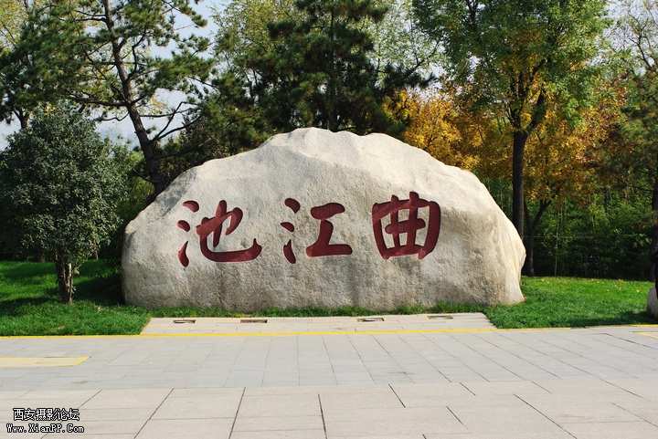 IMGP2693.jpg