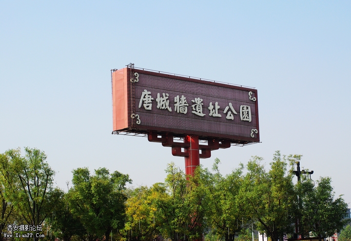 IMGP2694.jpg