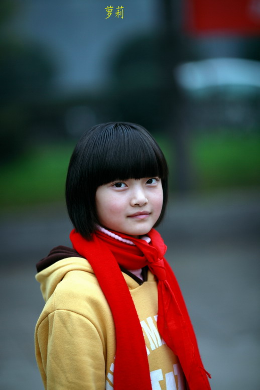 11115菊花，萝莉6392_调整大小.JPG
