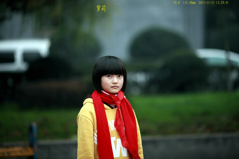 11115菊花，萝莉6391_调整大小.JPG
