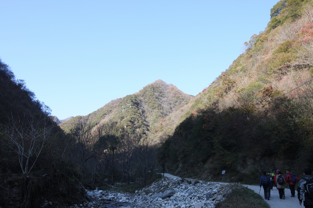 走，上山去