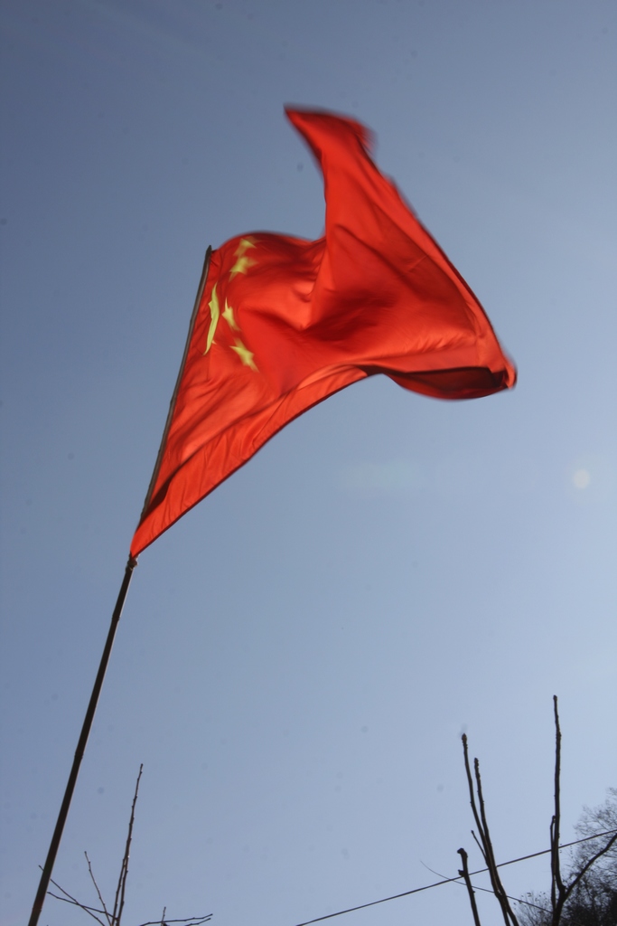 我心飞扬