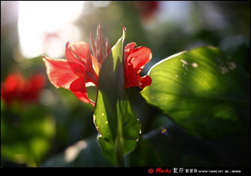 _MG_4114a2.jpg