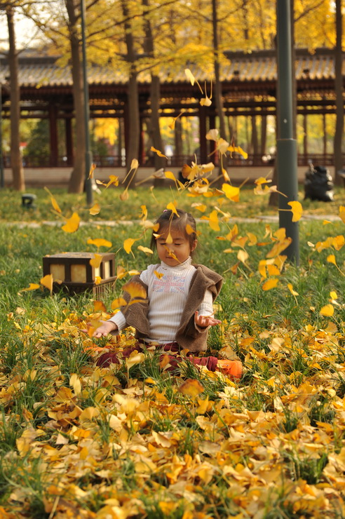 DSC_3351_调整大小.JPG