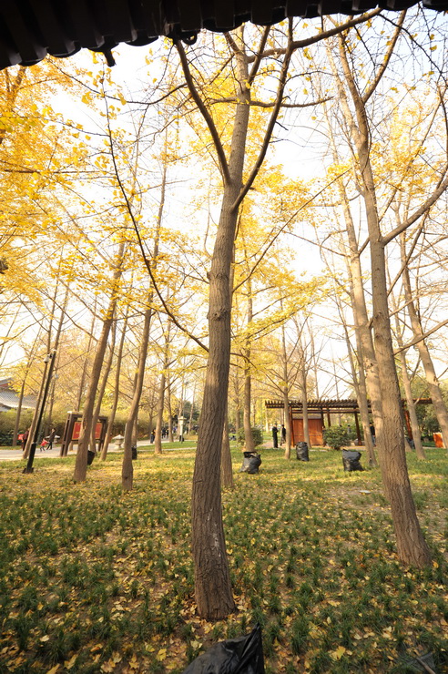 DSC_3424_调整大小.JPG