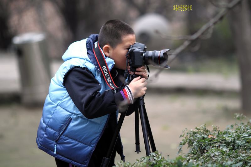 nEO_IMG_1126落寞的青龙寺7121.jpg