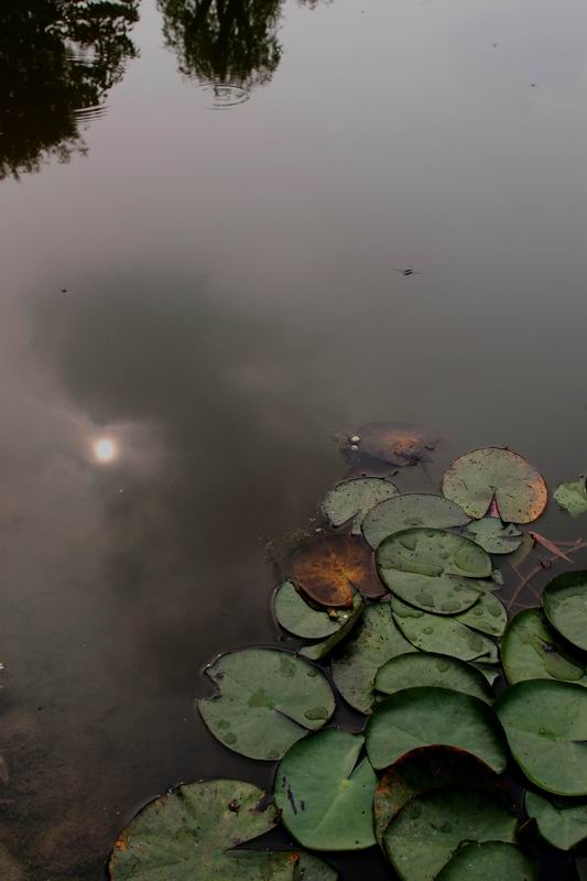 调整大小 IMG_4630.JPG