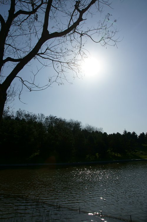 DSC06184.JPG