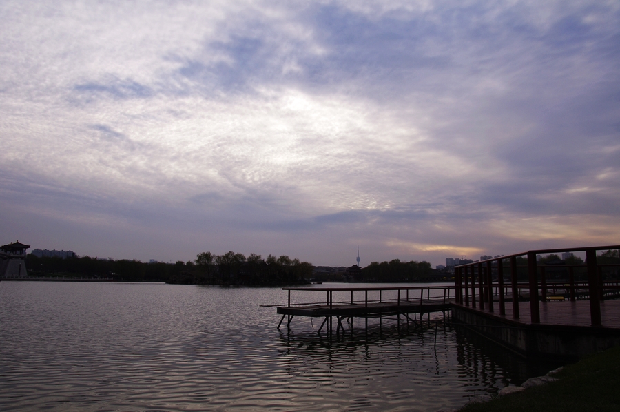 IMGP5447.JPG