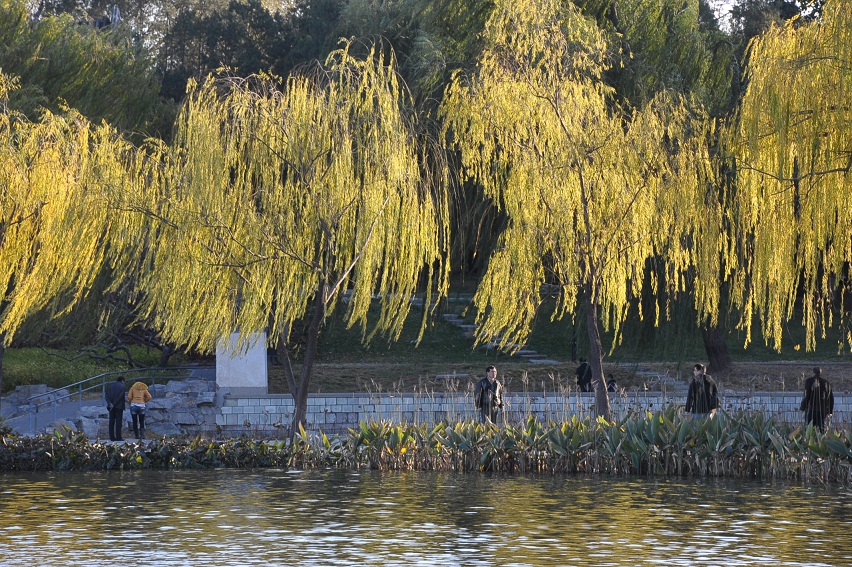 DSC_8617.JPG