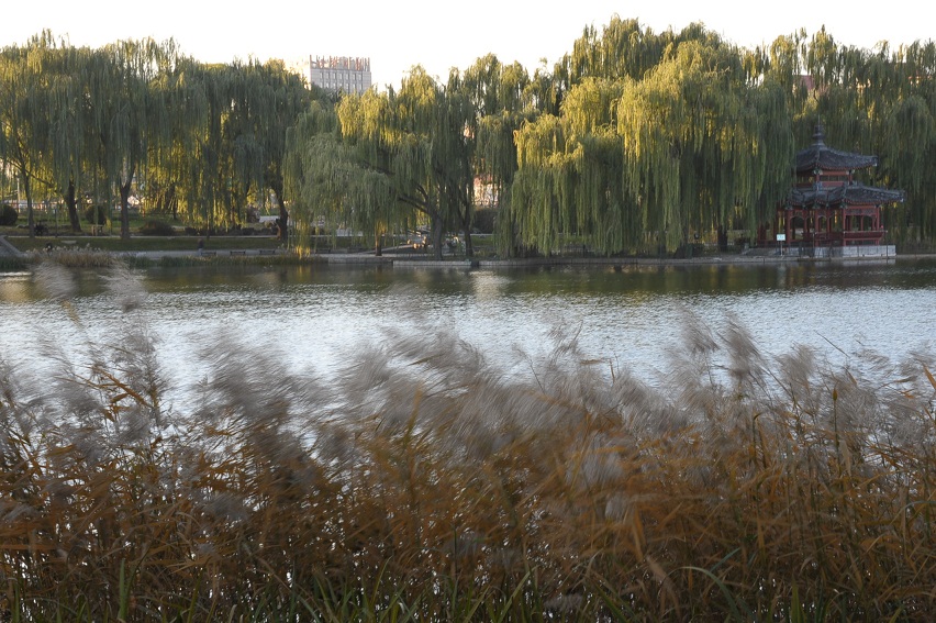 DSC_8636.JPG