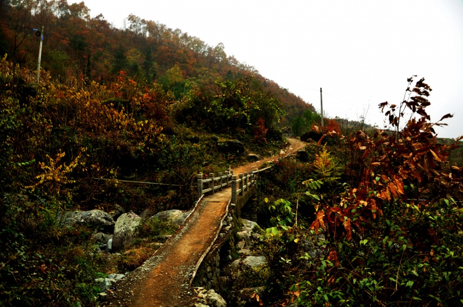 小路.jpg