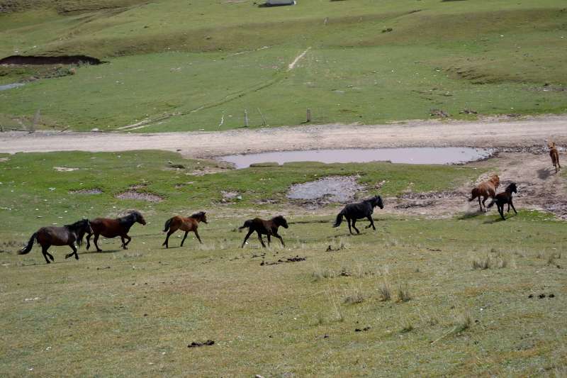 DSC_0738.JPG