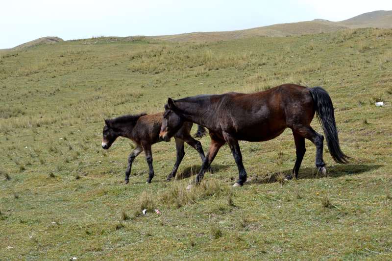 DSC_0744.JPG