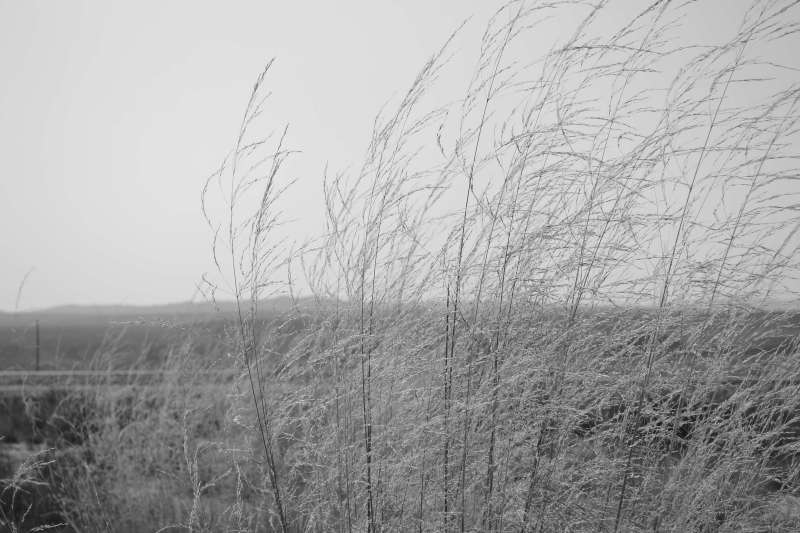 DSC_0753.JPG