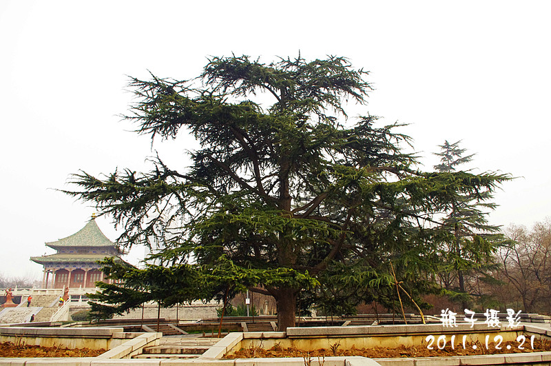 IMGP4132.jpg