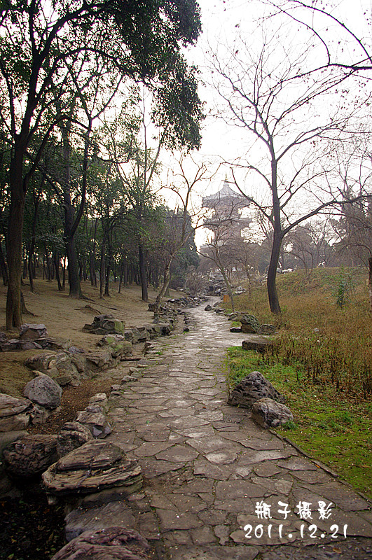 IMGP4167.jpg