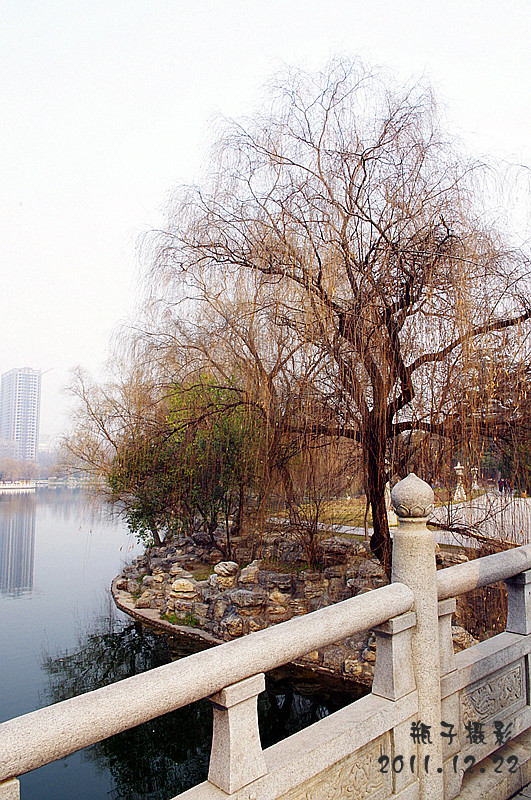 IMGP4243.jpg