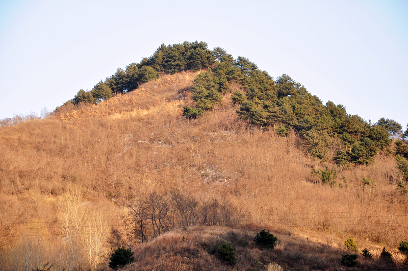 DSC_0044.jpg