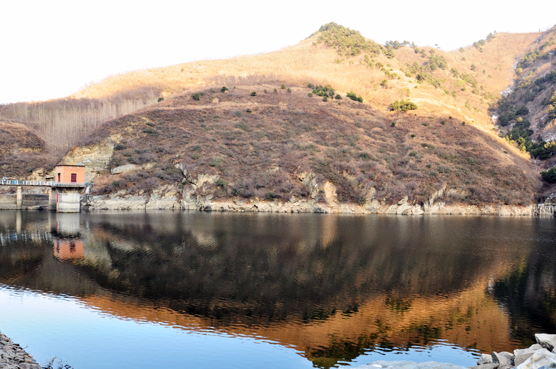 DSC_0046.jpg