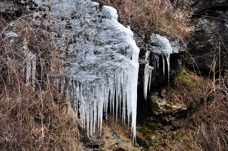 DSC_0117.jpg