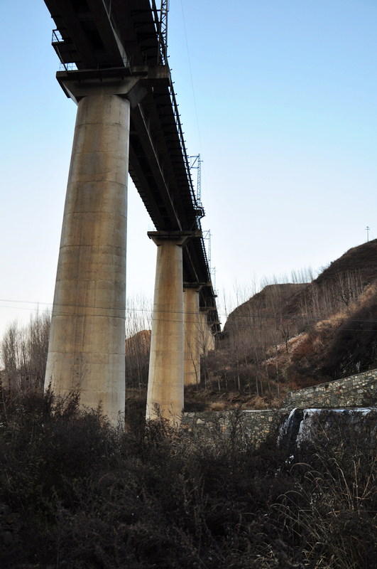 DSC_0137.jpg