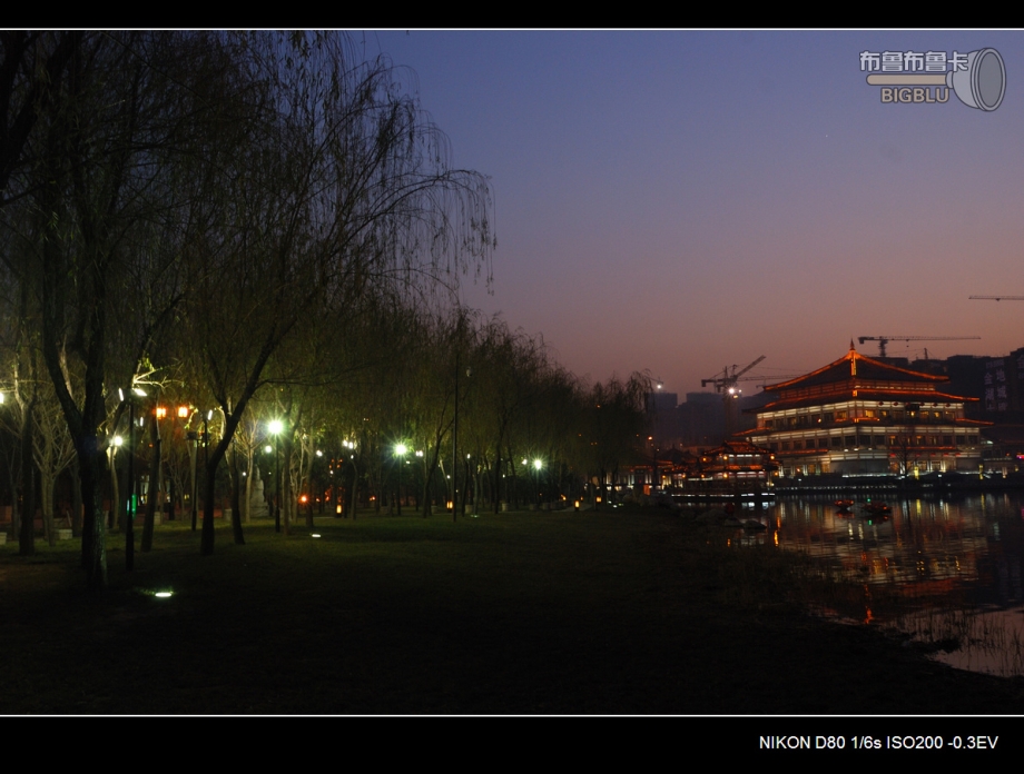 DSC_4595.jpg