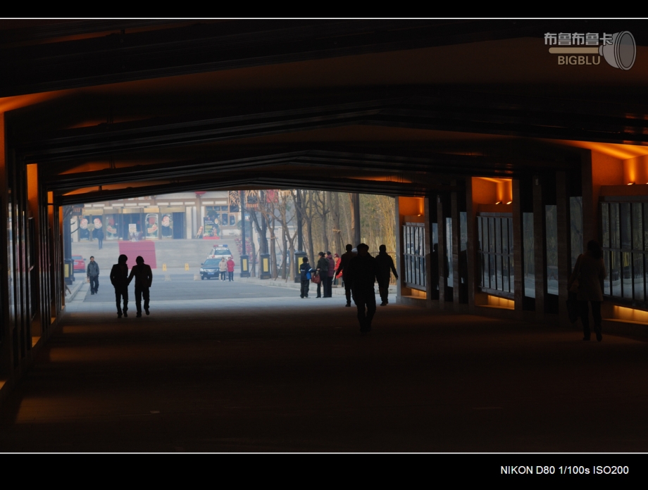 DSC_4517.jpg