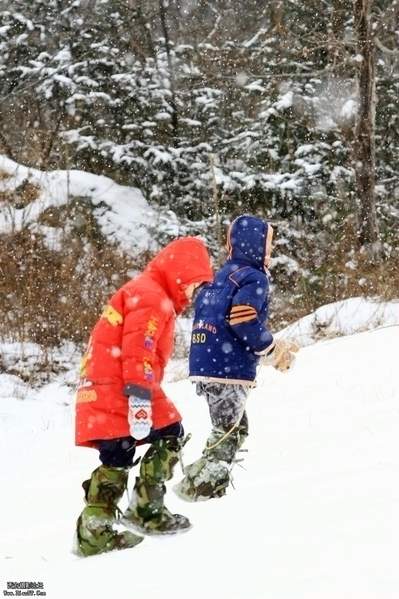 IMG_1117.jpg