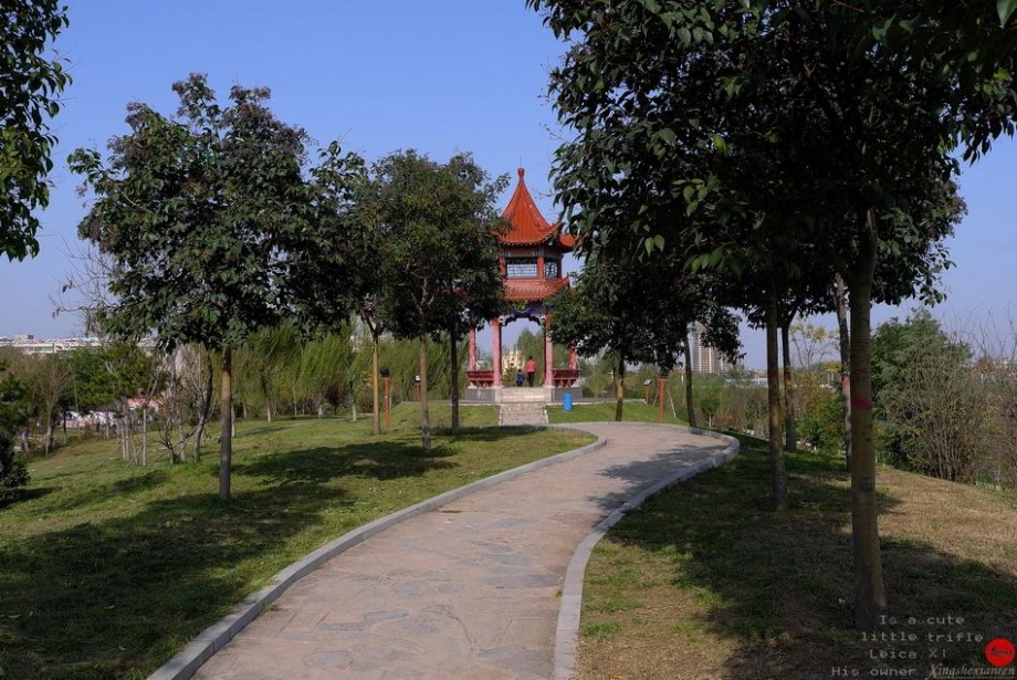 L1000885.JPG