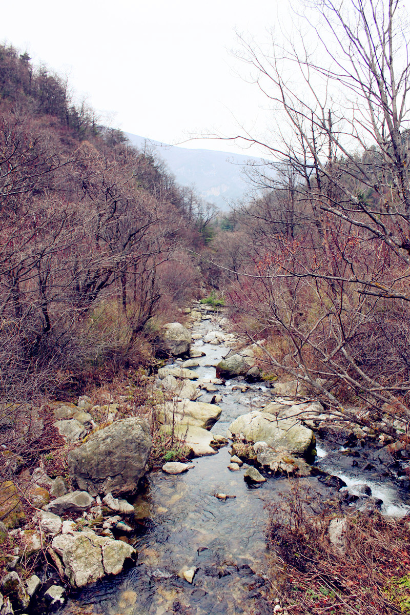 秦岭4-小溪.jpg
