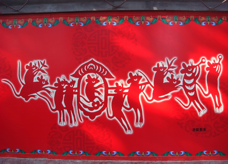 DSC07472.jpg
