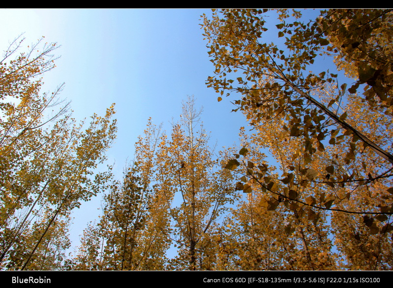 IMG_0413GS.jpg