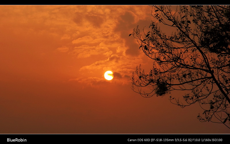 IMG_0521GS.jpg
