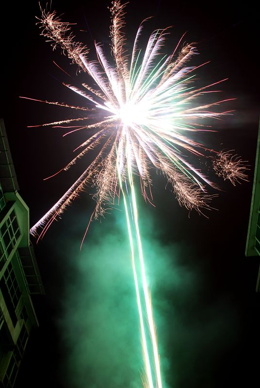 DSC_0009.jpg