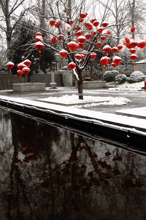 孤独的在雪中，即使如此的多