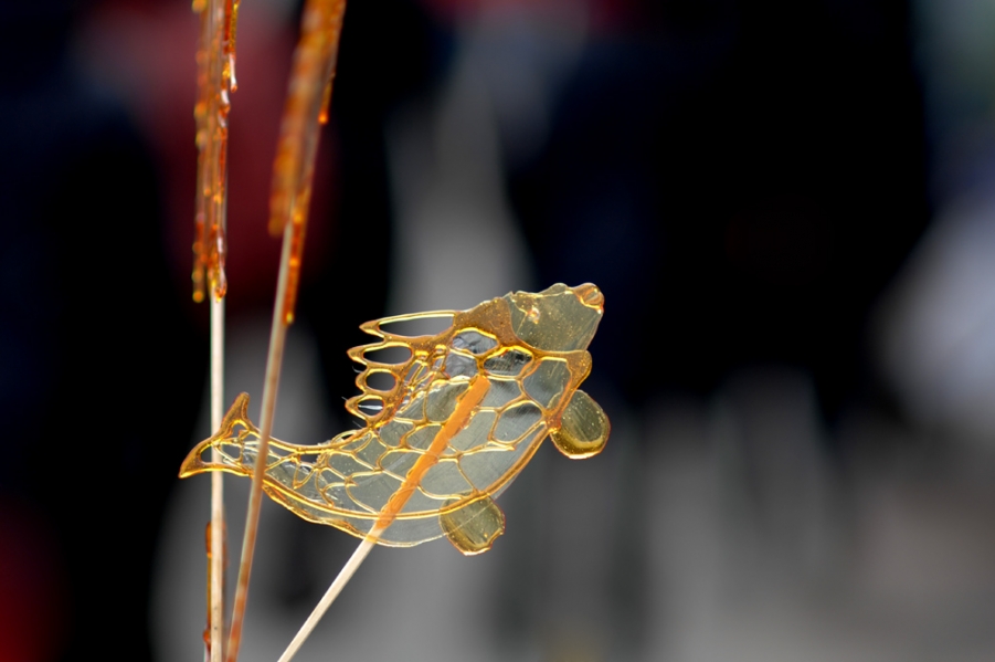 DSC_0012.JPG