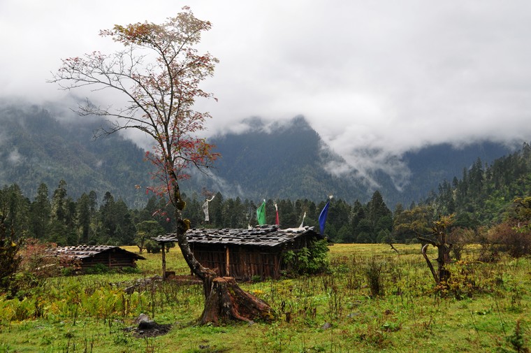 DSC_0256.jpg