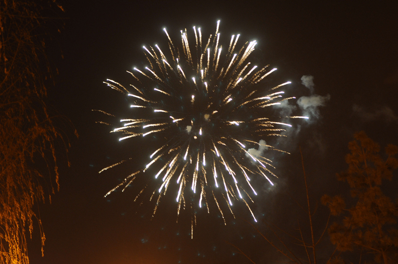 DSC_6893.jpg