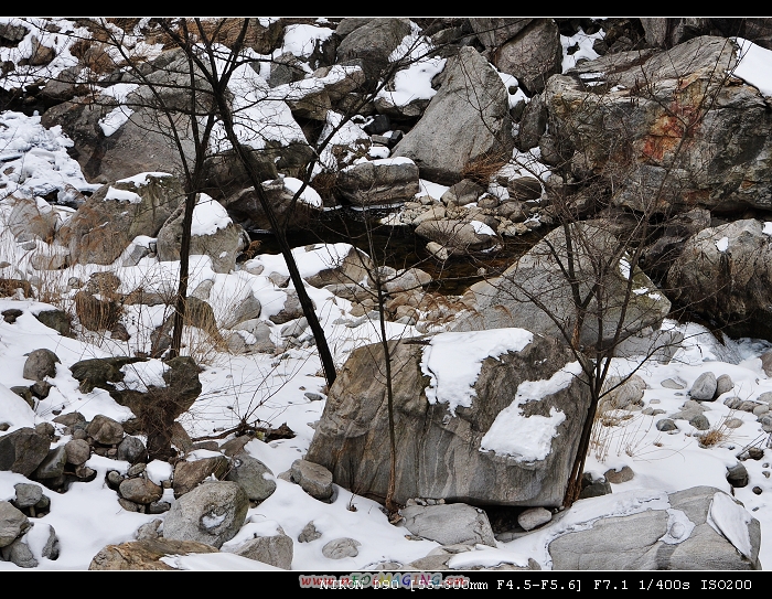 DSC_0258.jpg