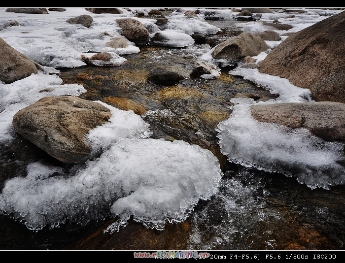 DSC_0303.jpg
