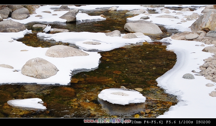DSC_0304.jpg