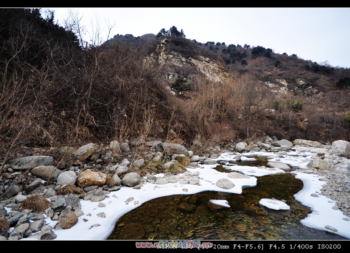 DSC_0306.jpg