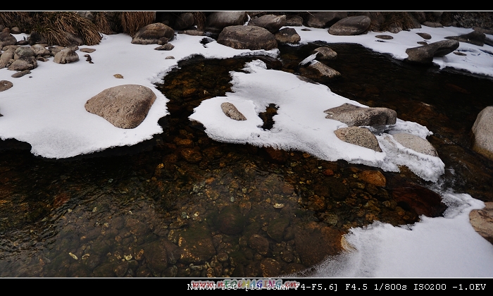 DSC_0336.jpg