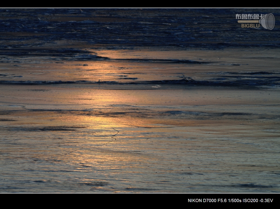 DSC_3132.jpg