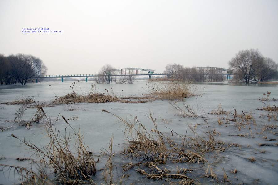 IMG_6359_调整大小.jpg