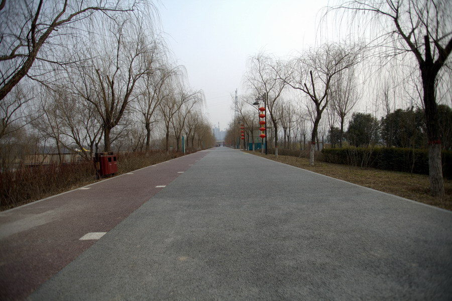 IMG_6363_调整大小.jpg